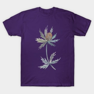 Eryngium Thistle T-Shirt